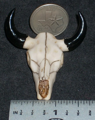 Teschio bufalo resina corna - bufalo,