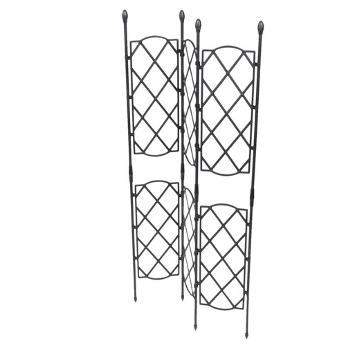 Scaffale arrampicata piante - arrampicata,