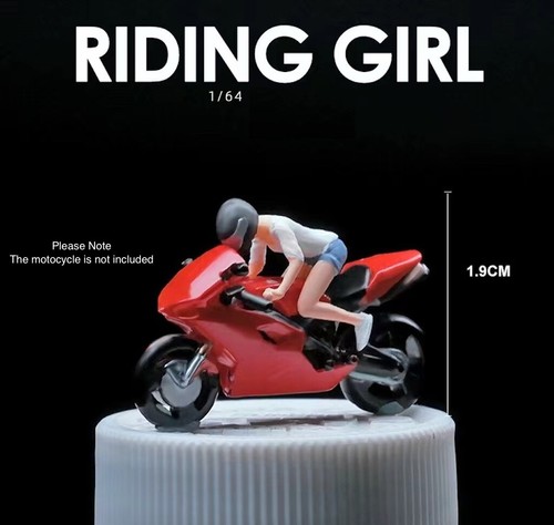 Modellino dipinto - 1:64,