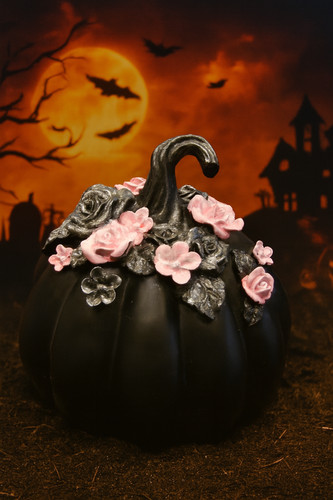 Elegante zucca resina nera - zucca, in